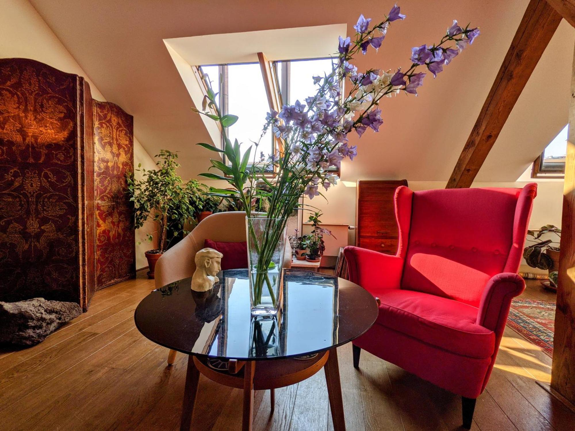 Guestrooms, Rooftop With Garden, Spacious Living Room, Character And Fireplace Praha